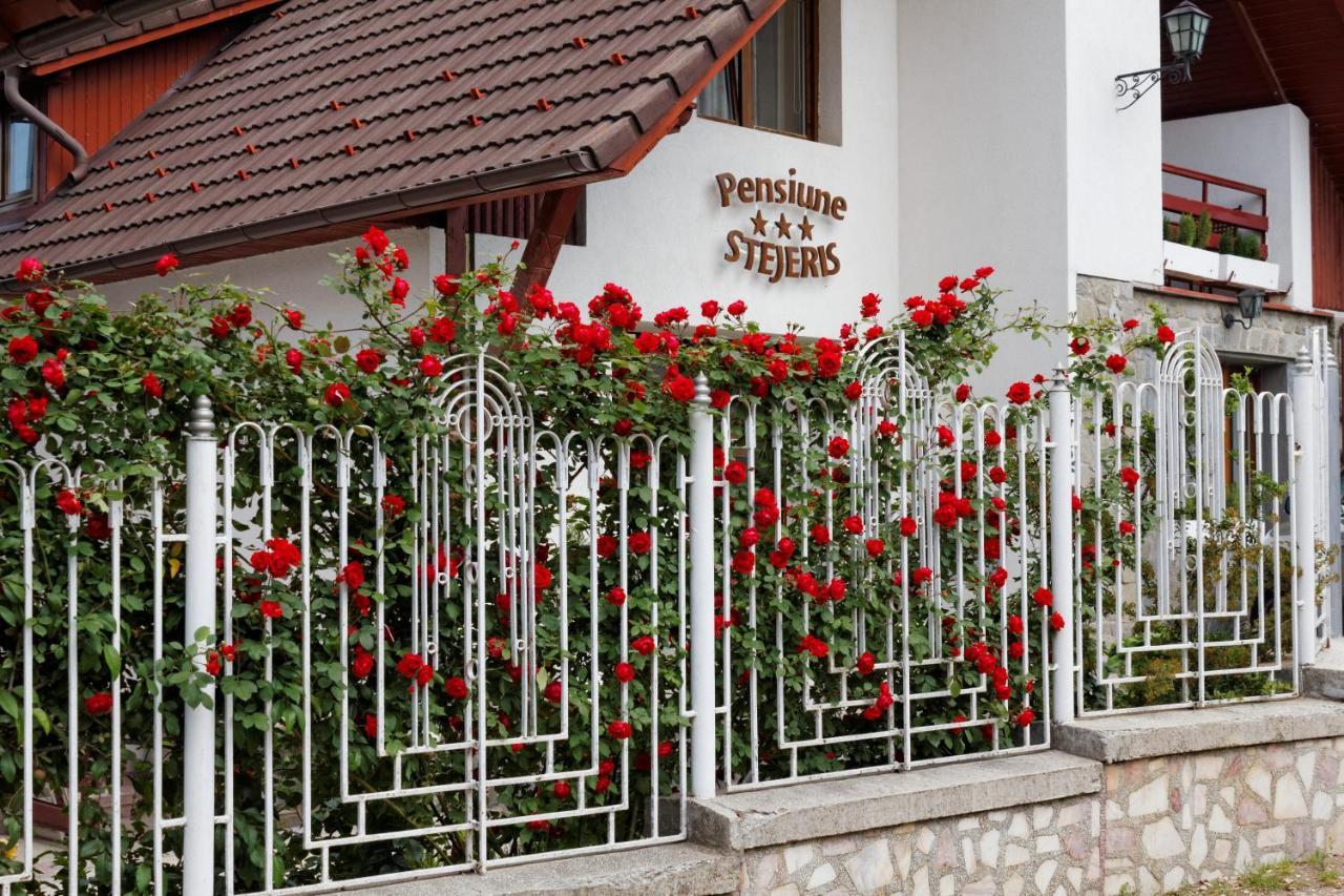 Pension Stejeris Brasov Ngoại thất bức ảnh