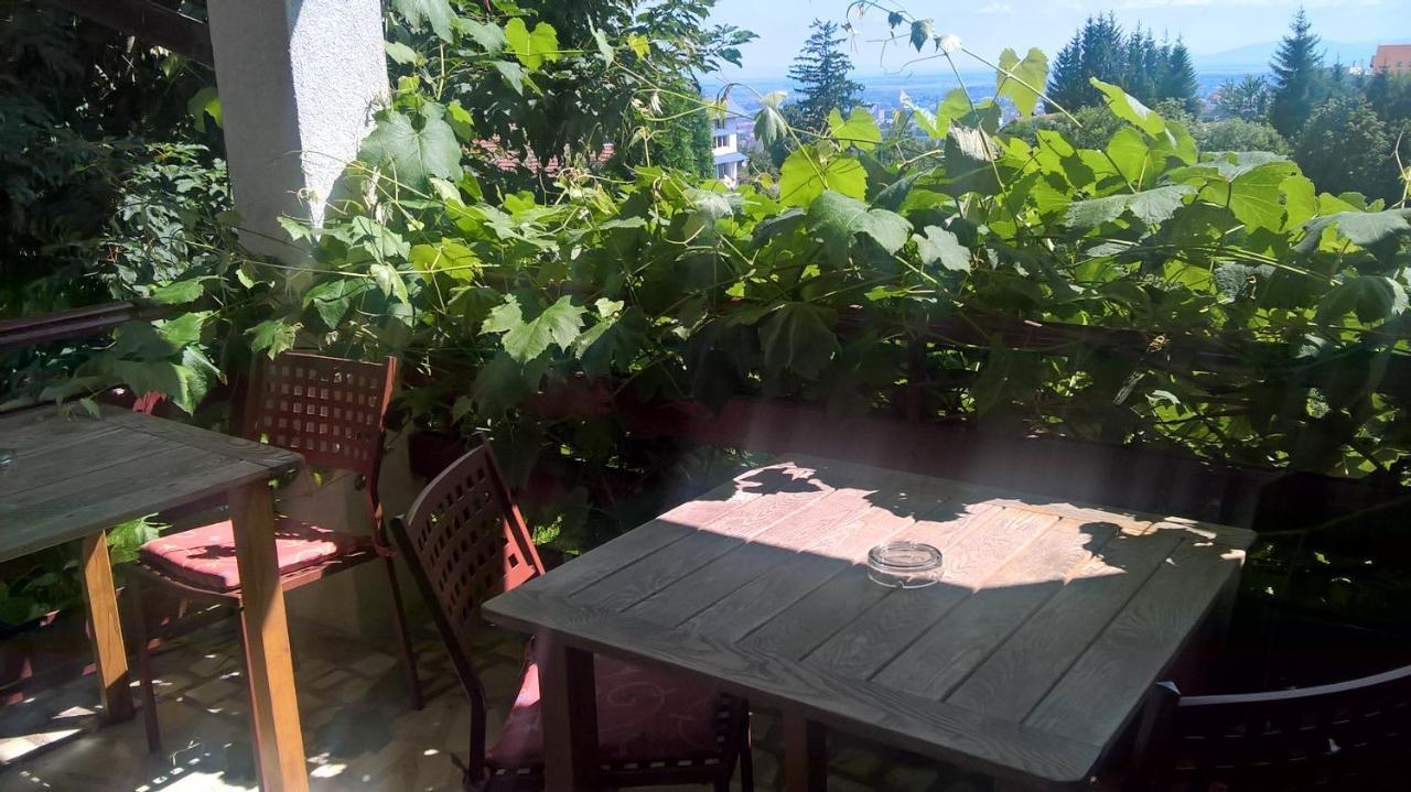 Pension Stejeris Brasov Ngoại thất bức ảnh