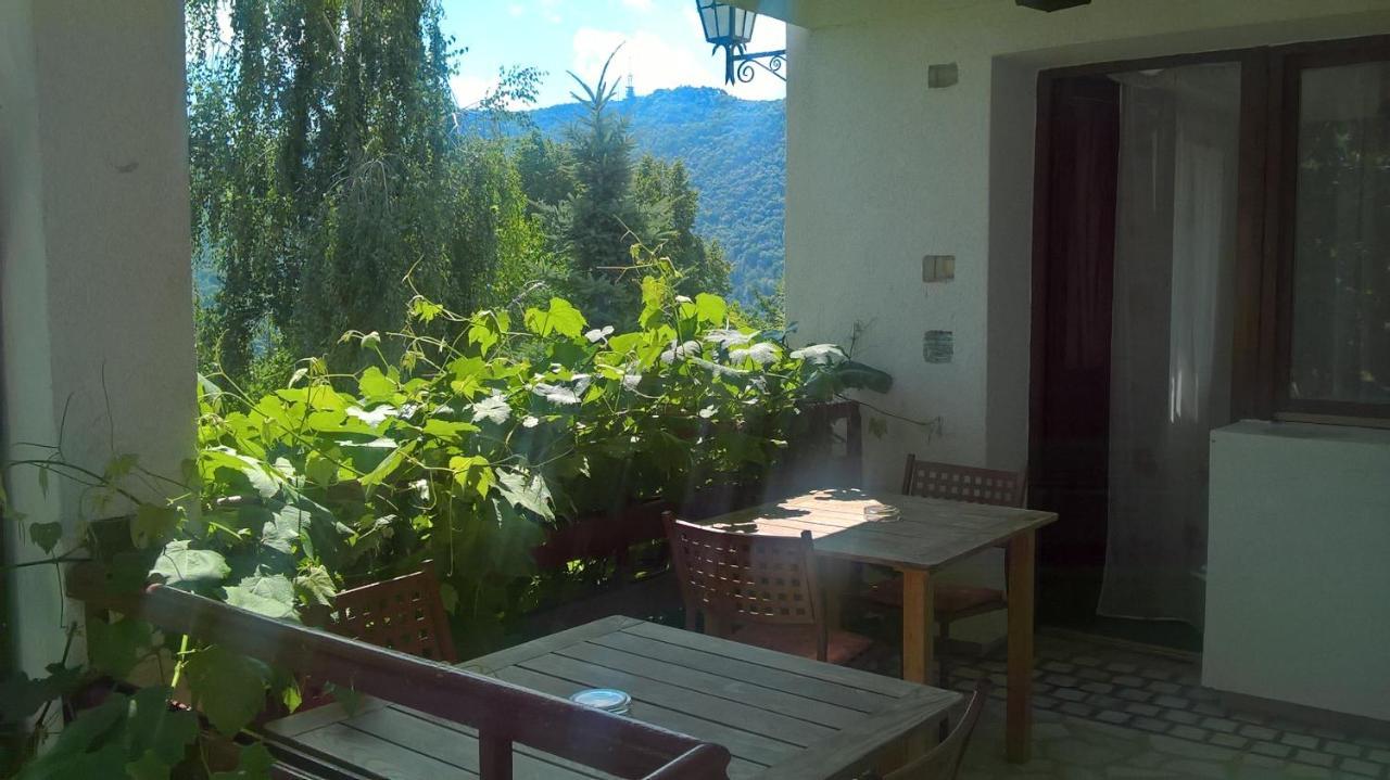 Pension Stejeris Brasov Ngoại thất bức ảnh