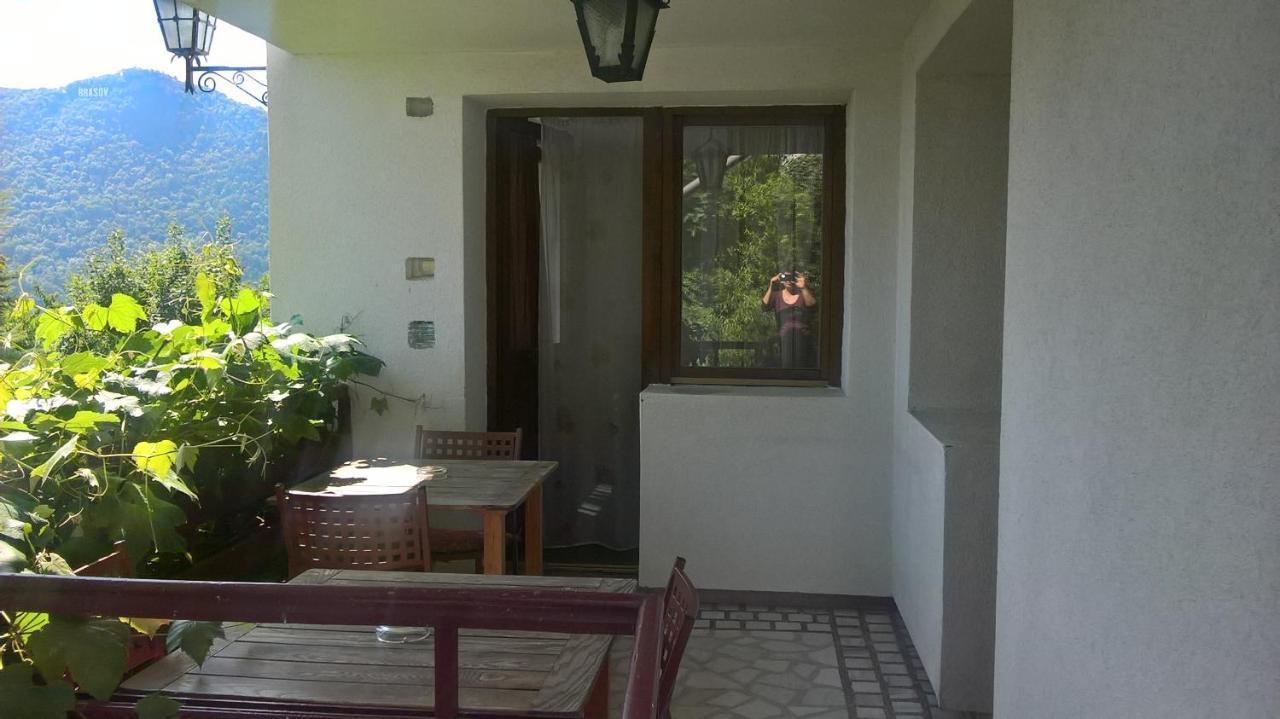 Pension Stejeris Brasov Ngoại thất bức ảnh